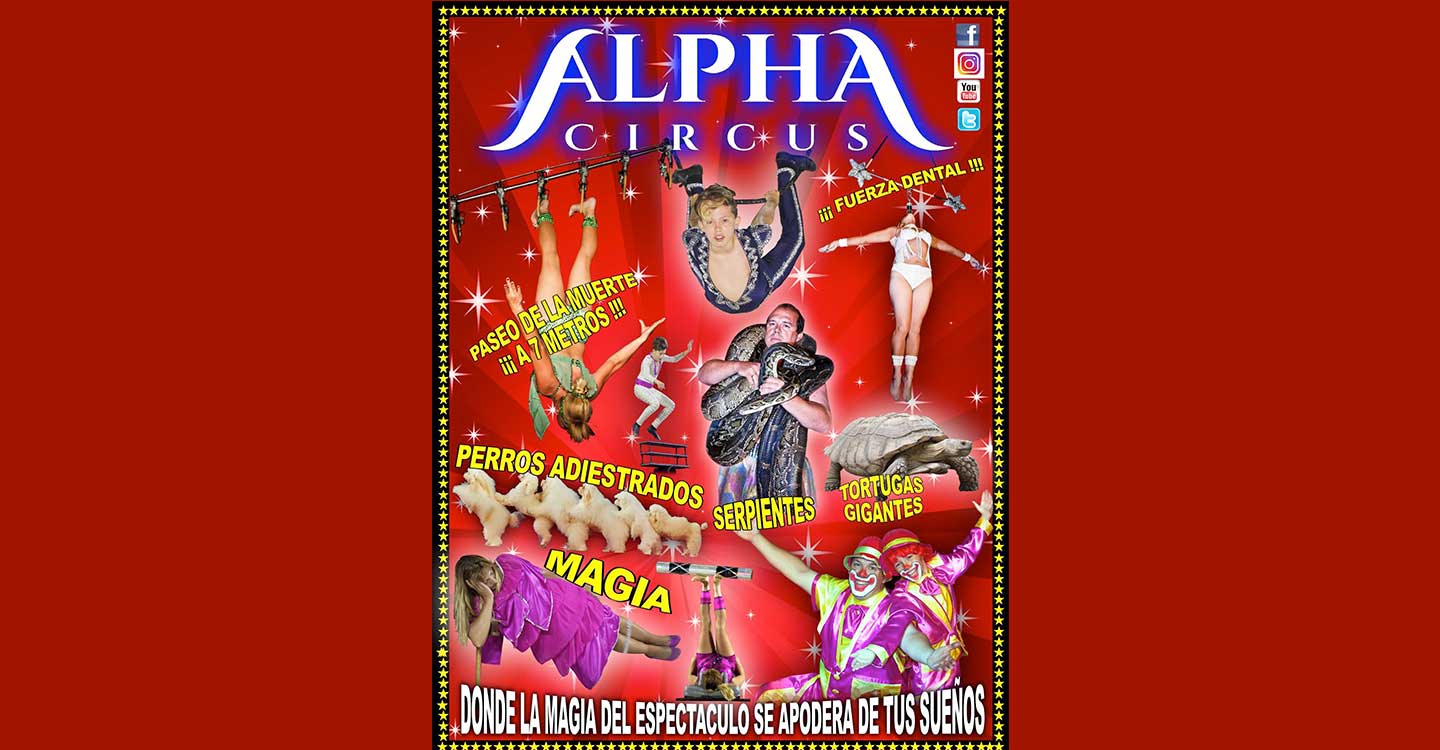 Los circos con animales salvajes no se han ido