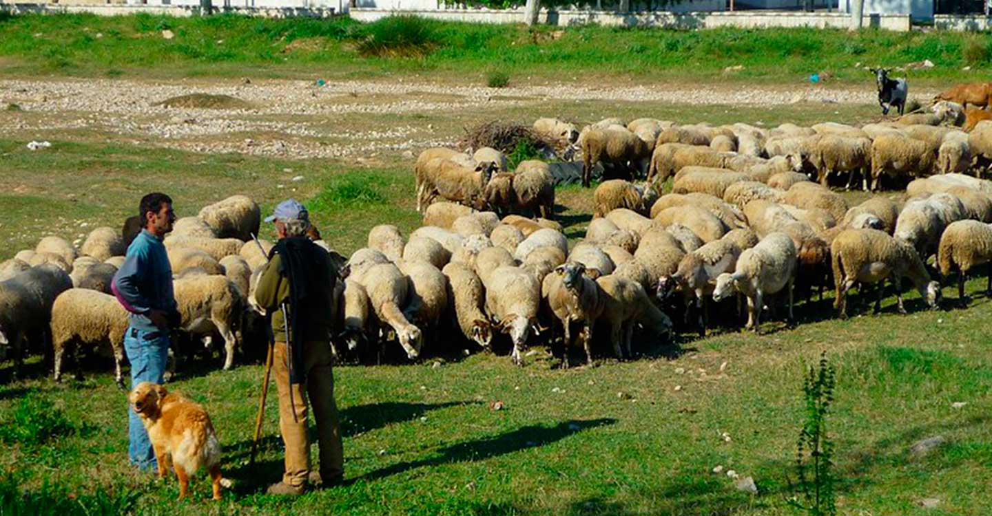 Unión de uniones CLM