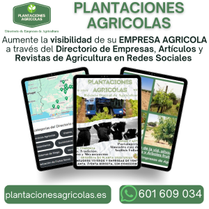 Plantaciones Agrícolas