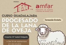 AMFAR enseña a las mujeres a procesar la lana de oveja como oportunidad de emprendimiento