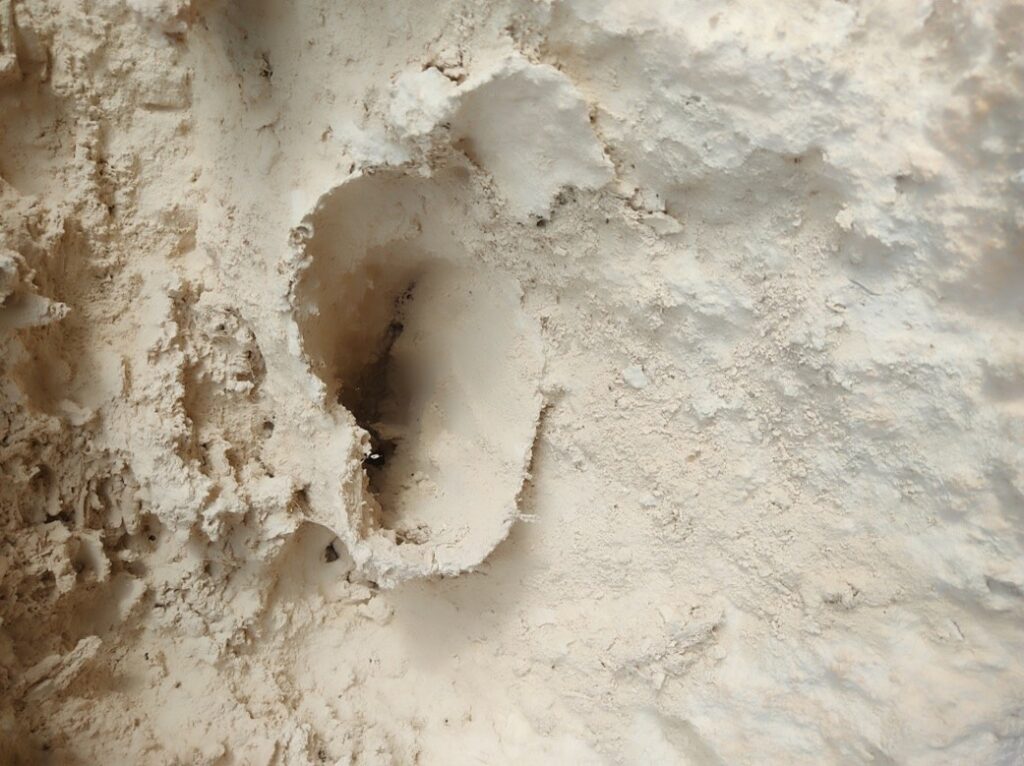 saninaalbarruidera 2