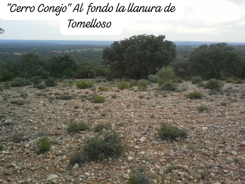 yacimiento paeleontologico 3 salvador jimenez 2