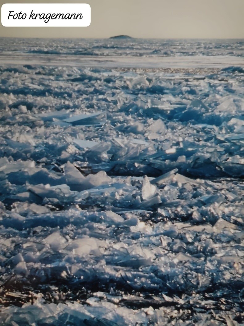 Yacimiento Paleontológico Ruidera