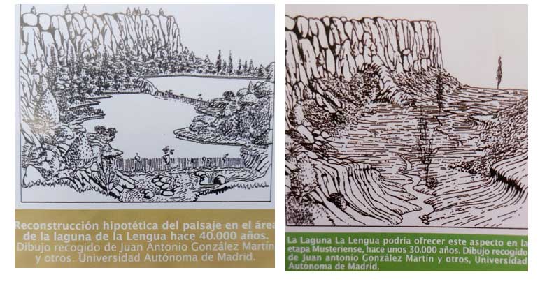 yacimientopaleontologico salvador 2