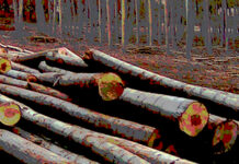 El 8 de marzo no significa nada si se socava la convivencia