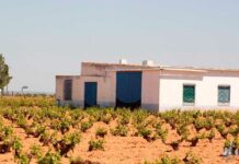 Se abandonan los campos por el mal negocio de la agricultura y la ganadería en el marco rural de nuestros pueblos.