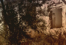 Escuchar los silencios:Los ajenos que pasan a mi lado.