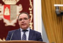 A vueltas con las camisetas verdes