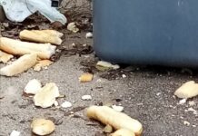 Si nuestros ancestros “levantaran la cabeza” y vieran pan tirado… (l)