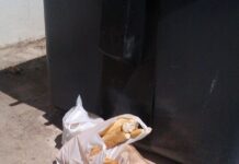 Si nuestros ancestros “levantaran la cabeza” y vieran pan tirado… (lI)