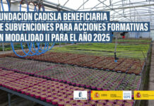 Fundación Cadisla beneficiaria de subvenciones para acciones formativas en Modalidad II para el año 2025