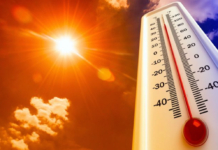 Vivir a 50 grados. Cómo las ciudades deben reinventarse para afrontar el calor extremo