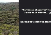 “Carrascas, chaparros» y algo de Fauna de La Mancha… (y II)