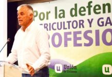 Con el cheque por bandera