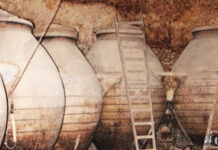 Cuevas Domésticas de Tomelloso (III)