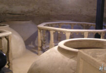 Cuevas Domésticas en Tomelloso (IV)