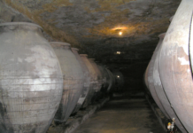 Las cuevas de Tomelloso: “Un orgulloso patrimonio de esfuerzo y sacrificio humano (XI)”