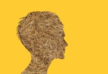 Despreciando el culto a la ignorancia