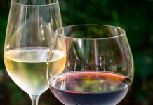 Soy un drogadicto (legal) del vino (artículo de opinión para mayores de 18 años). Antonio Gómez Olmos, periodista agroalimentario