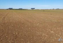 El campo es vida y la agricultura más