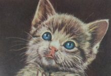 … En uno de los libros que compré cuando ahorré unas pesetas y regalar un libro a …