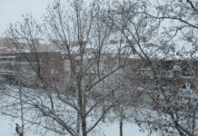 El enfado de mi vecina