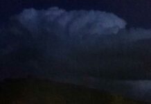 …Entonces olía a tierra mojada… (l)