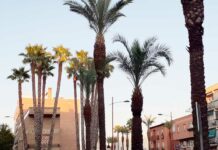 Esperando un nuevo curso