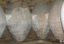 Cuevas domésticas de Tomelloso : «Estudio del número de cuevas»