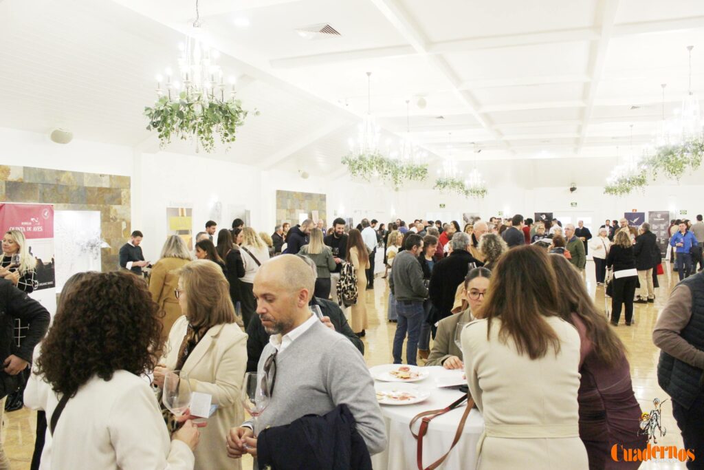 exitazo galeria del vino tomelloso 60