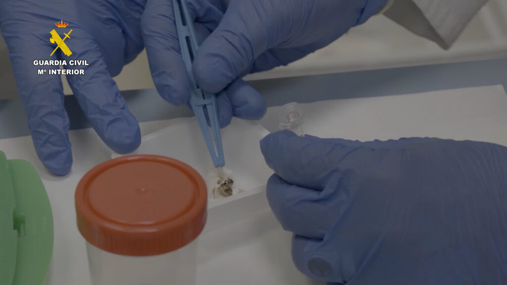 furtivismoguadalajara 2