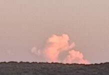 Humanos y sus divinidades