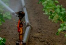 Inversiones en materia de agua, ahora o… será tarde