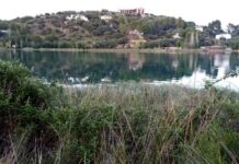 Localizan restos paleontológicos de cápridos y felinos, de unos doscientos mil años de antigüedad, en los aledaños a la laguna “La Colgada” (I)