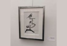 La levedad y la belleza