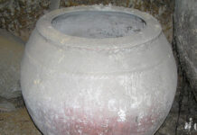 Cuevas Domésticas de Tomelloso (IX)