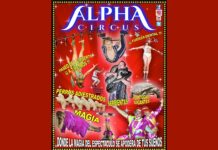 Los circos con animales salvajes no se han ido