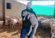 Los maltratados somos nosotros. Los ganaderos