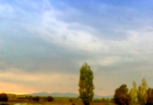 Manifiesto contra la llamada “muerte digna”