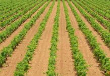 Unión de Uniones Castilla-La Mancha : «¡Me lo expliquen por favor!»