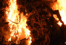 Publicadas las normas por unas fiestas de San Antón seguras