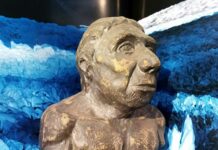 El Pícaro Homo que surgió del Tarquín