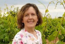 Pisando la uva… y sus precios.