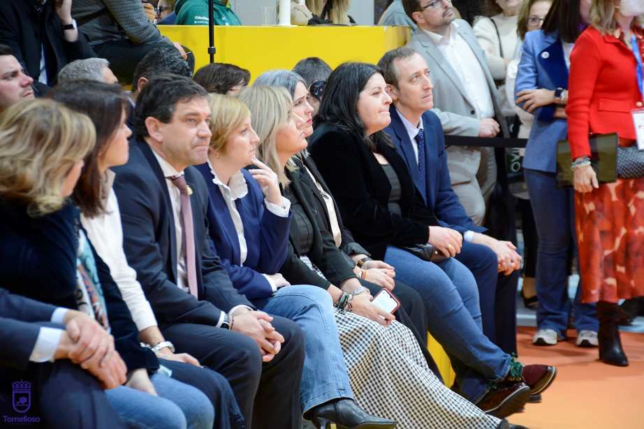 Plan de Sostenibilidad Turística para Tomelloso