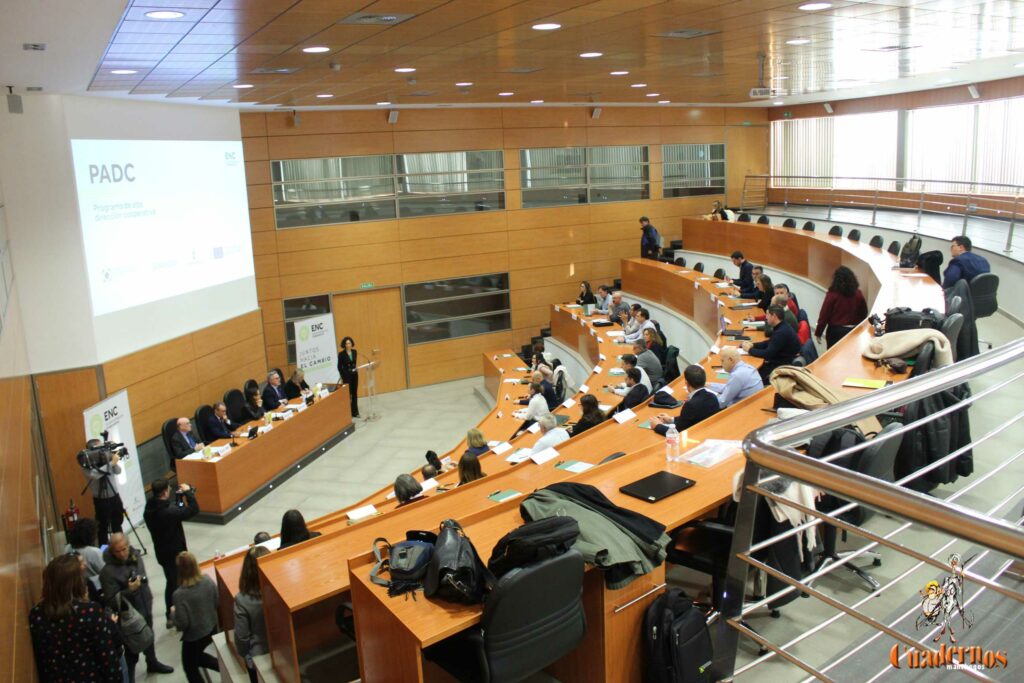 programa alta direccion cooperativa virgen vinas tomelloso 3