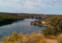 Recordando a Antonio Gómez Molina