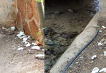 Este riachuelo junto a la Laguna del Rey, es un retrete