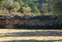 De Ribazos, Lindes y Hormas