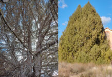 Descomunal Sabina Albar junto a la derruida central hidroeléctrica de “San Alberto”