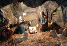 El sentido de la navidad: nacimiento y renovación